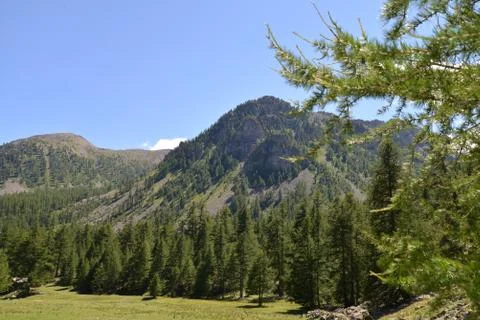 Mountain scene in summer Stock Photos