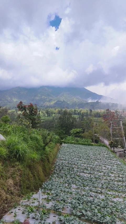Mountain Scenery In The merapi Video stock 317655341