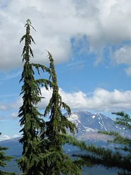 Mountain Scenery Stock Photos