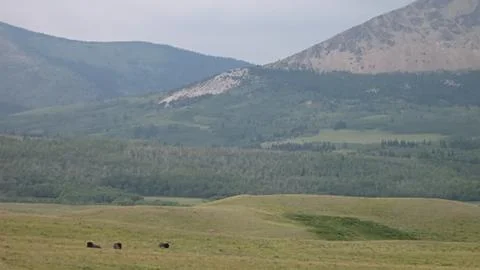 Mountain Scenery Stock Photos