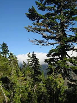 Mountain Scenery Stock Photos