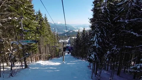 Mountain scenery from the ski elevator, moving between the trees. Stock Footage 219255808