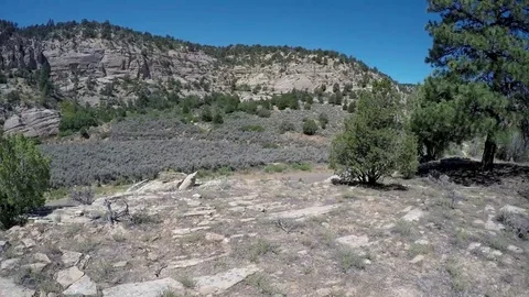 Mountain sean with Cedar trees Stock Footage 69325128