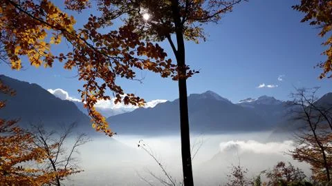A mountain seen behind a maple tree. clouds surrounding a mountain Stock Photos