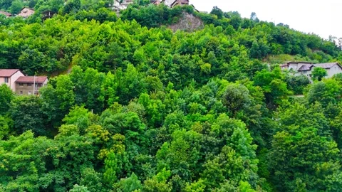 Mountain Serenity Drone View Stock Footage 313240245