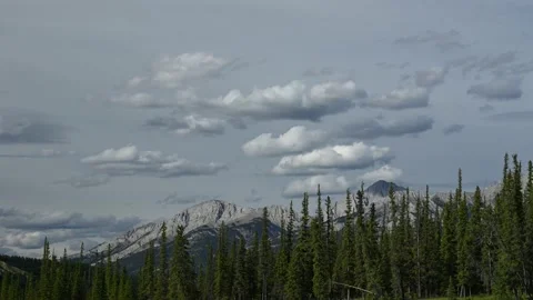 A mountain setting with green pine trees in the foreground  Stock Footage 148157095