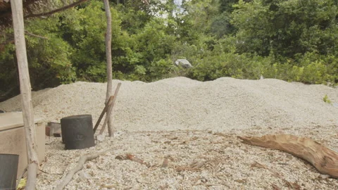 Mountain of shellfish carcasses Stock Footage 199836100