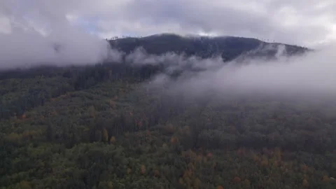Mountain shrouded in clouds Stock Footage 253831038