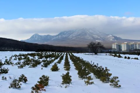 Mountain shrouded in clouds in the winter Stock Photos