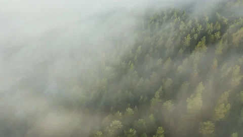 Mountain side covered in mist Stock Footage 142101003
