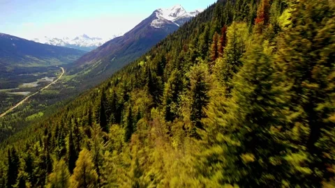 Mountain side Stock Footage 134301381
