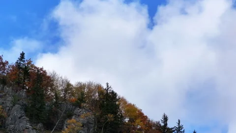 Mountain Side Landscape With Trees and Clouds Stock Footage 265787374