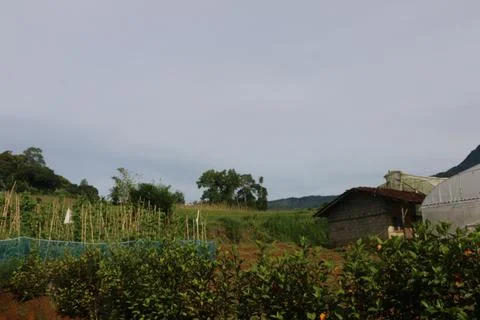 Mountain side Foto stock