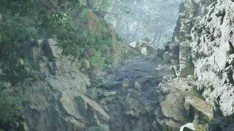 A mountain side with rocks and trees in the background Stock Illustration