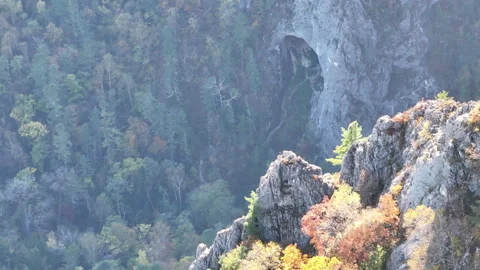 Mountain Side With Trees and Rocks Stock Footage 265802881