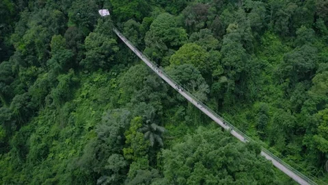 Mountain site Stock-Footage 242040418