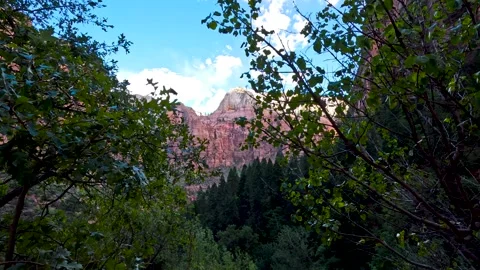 Mountain sits behind tree branches Stock Footage 284223288