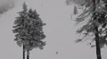 Mountain Skiers Speeding Down Slope Boy Snowboarding Winter Sport Activity Scene HD Footage