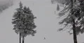 Mountain Skiers Speeding Down Slope Boy Snowboarding Winter Sport Activity Scene 4k or 4k+ Resolution