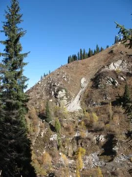 Mountain, sky, trees Stock Photos