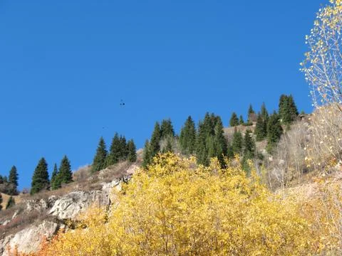 Mountain, sky, trees Stock Photos