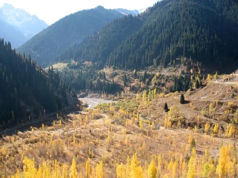 Mountain, sky, trees Stock Photos