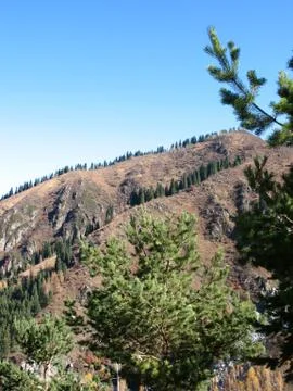 Mountain, sky, trees Stock Photos