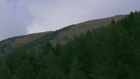 Mountain slope and forest 스톡 동영상 171736210