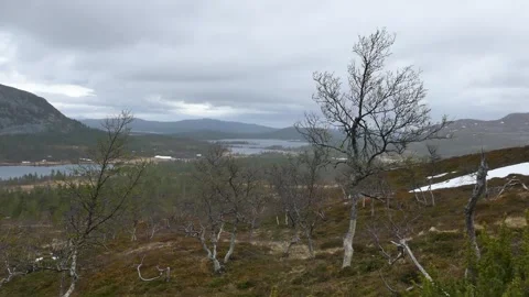 Mountain slope with bare trees, snow patches and distant lakes Stock Footage 318197384