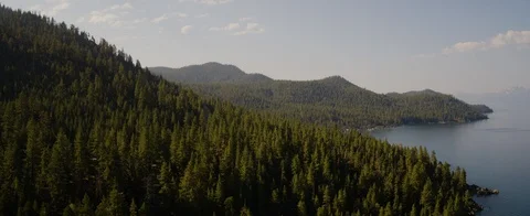 Mountain slope covered with green trees near Lake Tahoe Stock Footage 92051563