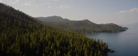 Mountain slope covered with green trees near Lake Tahoe Stock Footage 92051582