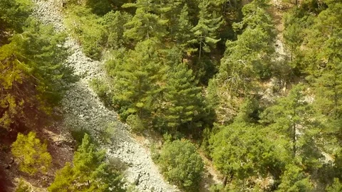 The mountain slope covered with a pine trees. View from the top Stock Footage 74942807