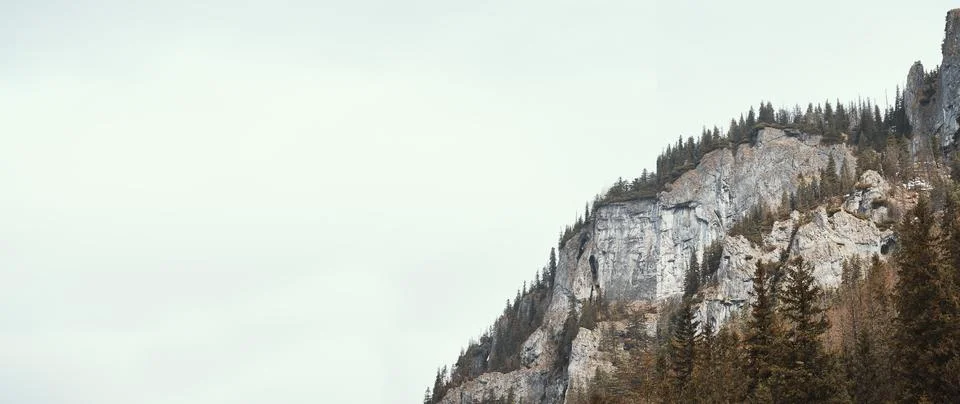 Mountain slope covered by trees Stock Photos