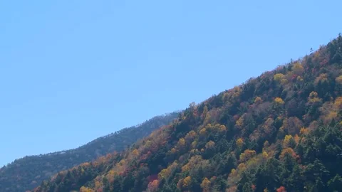 Mountain Slope Fall Colors Stock Footage 346195707