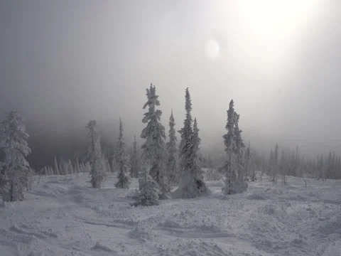 The mountain slope Vídeos de archivo 70926470