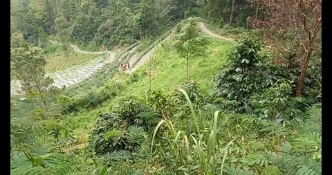 Mountain slope Stock Footage 285828997