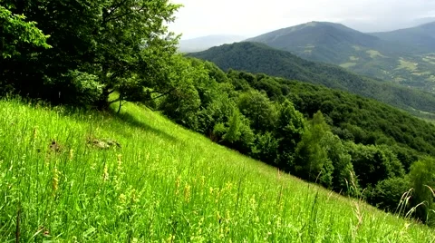 Mountain slope in the grass Stock Footage 68803919