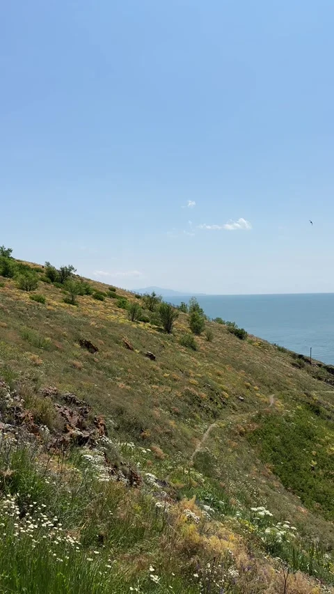 Mountain slope with lush greenery and rocky outcrops Stock Footage 313558751