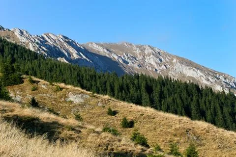 Mountain slope Stock Photos