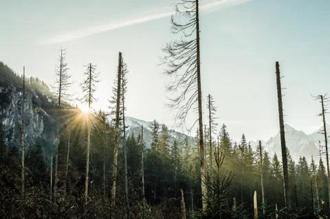 Mountain slope Foto stock