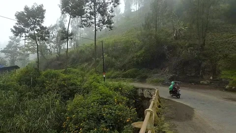 Mountain slope road Video stock 202067345