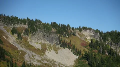 Mountain slope with rocks and evergreen forest under blue sky Stock Footage 320027331