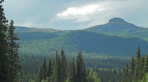 The mountain slopes are covered with pine forest Stock-Footage 43151351