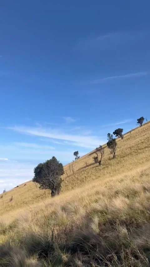 Mountain slopes with beautiful meadows	 Video stock 285608244