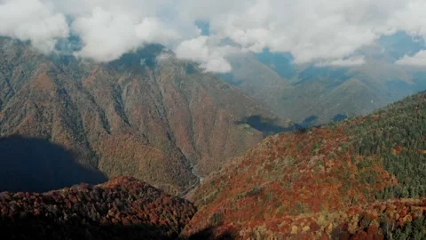 Mountain slopes covered with dense vegetation and autumn forest. Natural Stock Footage 324958965