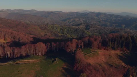 Mountain slopes covered with forest Stock Footage 93212665