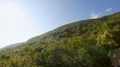 Mountain slopes covered in lush forests on sunny day, hiking tourism, panorama HD Footage