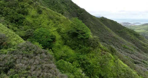 Mountain Slopes Covered with Vegetation Drone Aerial View Kailua Oahu Hawaii USA Видео 335793401