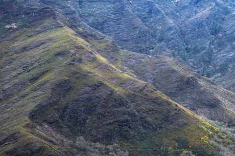 Mountain slopes devastated by forest fires slowly recover their vegetation Stock Photos