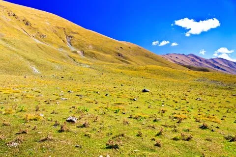 Mountain slopes in the fall Stock Photos